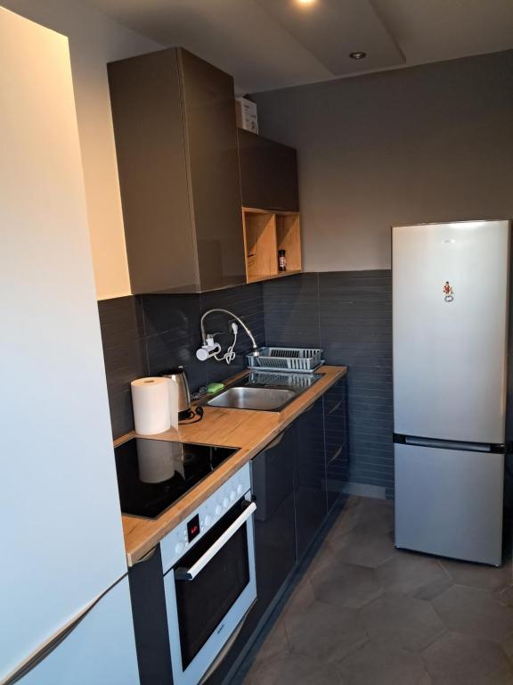 Belgrade apartment Novi Beograd - 4