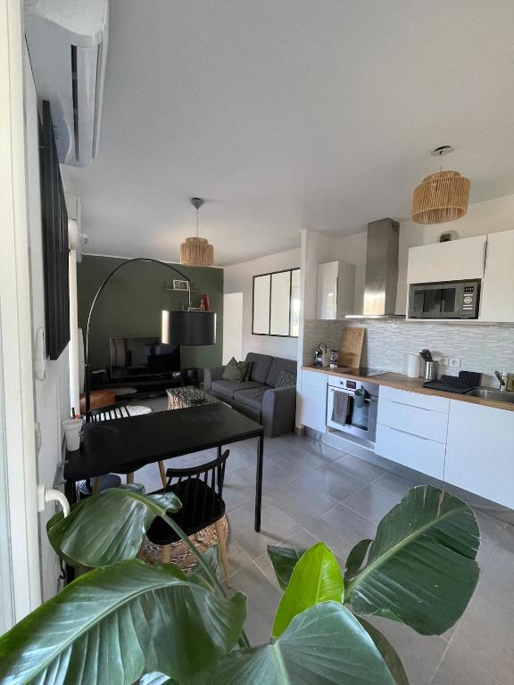 Apartment in Montpellier - 4