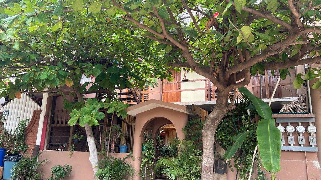 Casa Guiba 3 Puerto Escondido - 2