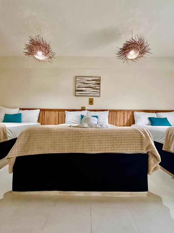 Hotel cacao spa cozumel - 1