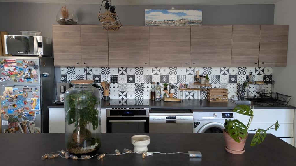 Superbe appartement quartier Timone - 3