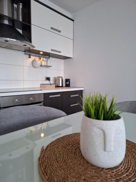 Apartman MAX sa privatnim parkingom - 5