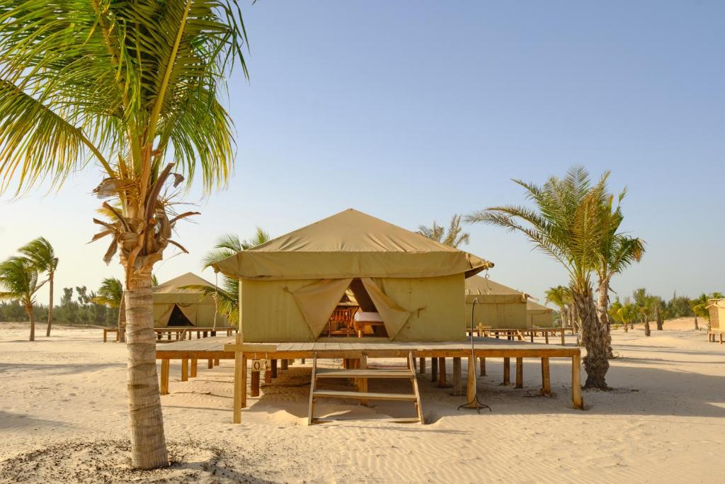 OKAI Oasis Desert Senegal