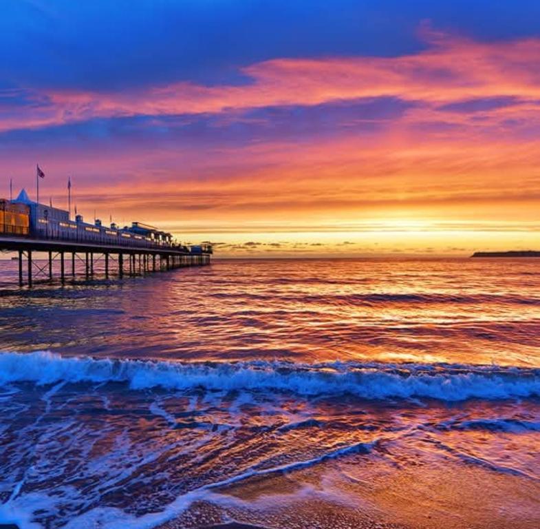 Seas The Day, Paignton photo 5