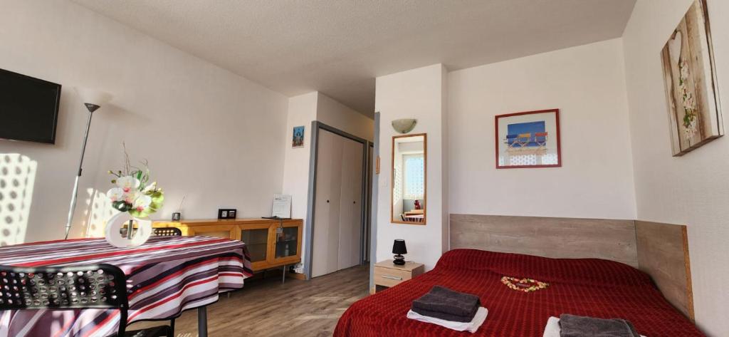 Studio proche Hopital CHU BORDEAUX - 3