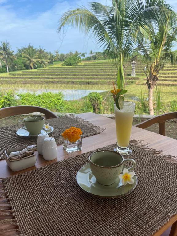 United Colors of Bali Nature