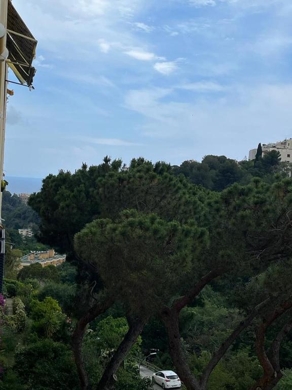 Grand appart 80m2 parking - 1