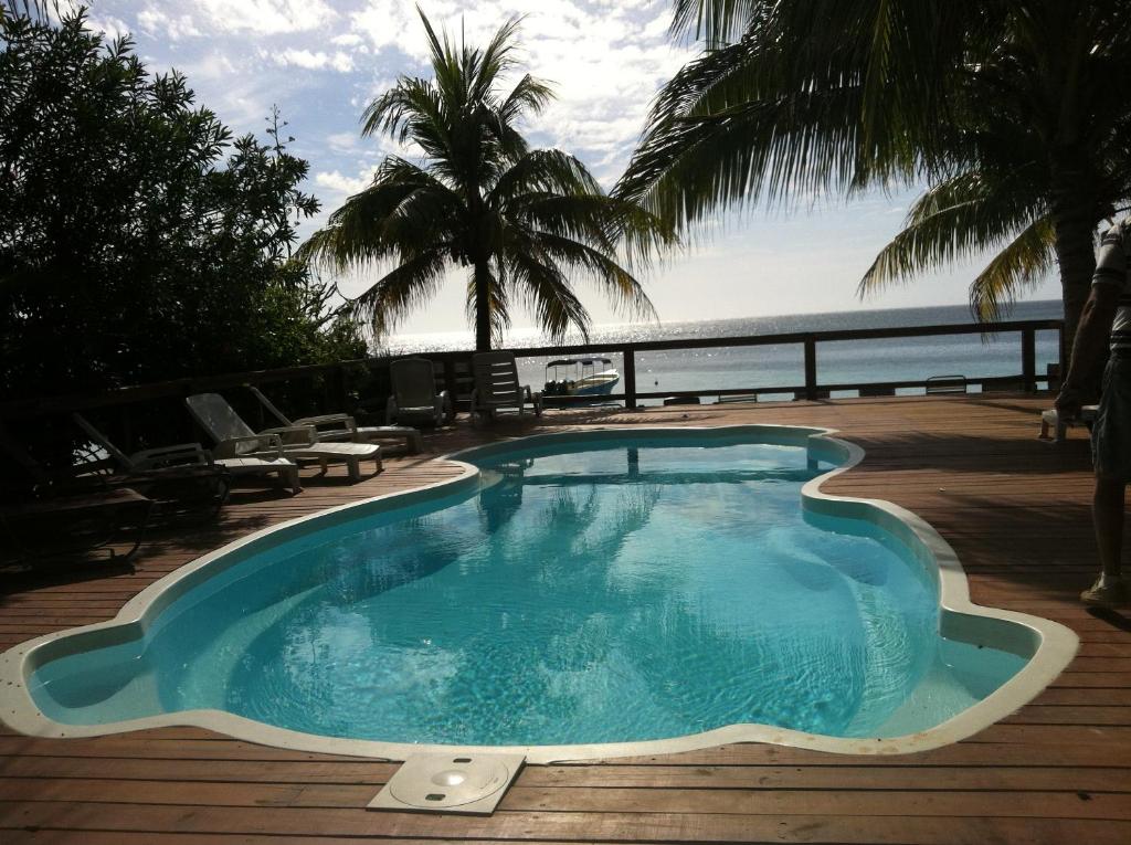 Coconut Tree West Bay photo