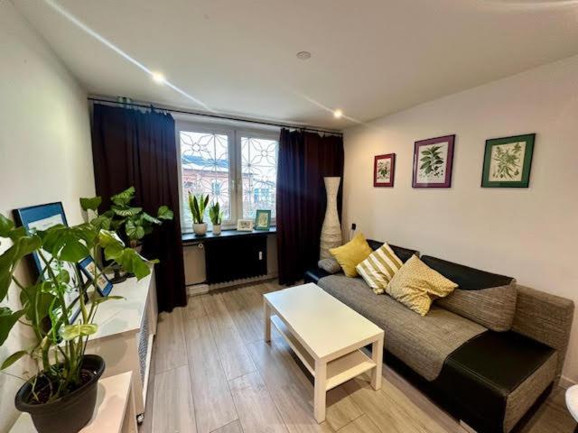 Przy Stawikach, Sosnovec