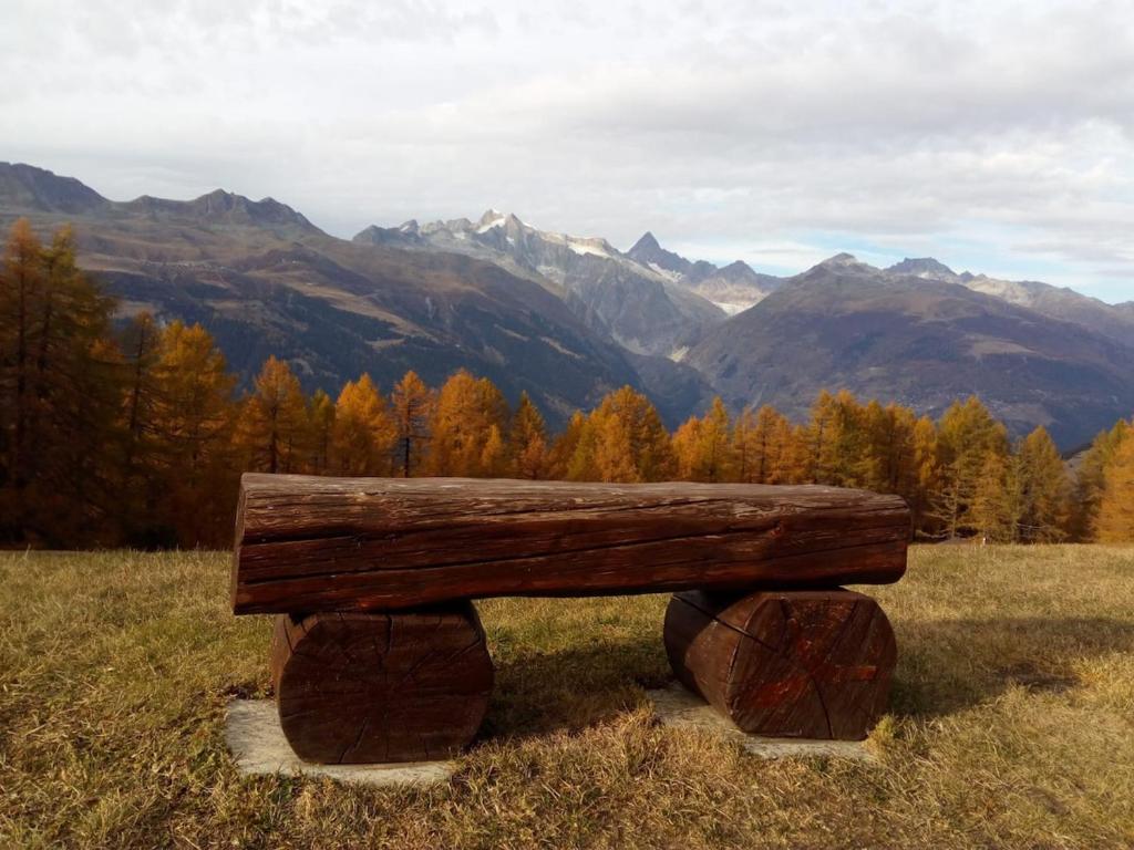 Alpenrose Aletsch Landschaftspark Binntal - 3