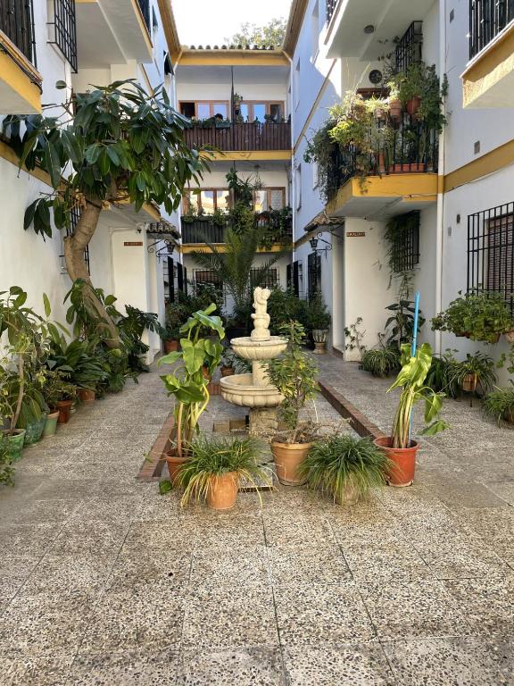 CENTRO - Patio Andaluz San Pablo - PARKING GRATIS- WIFI - 3