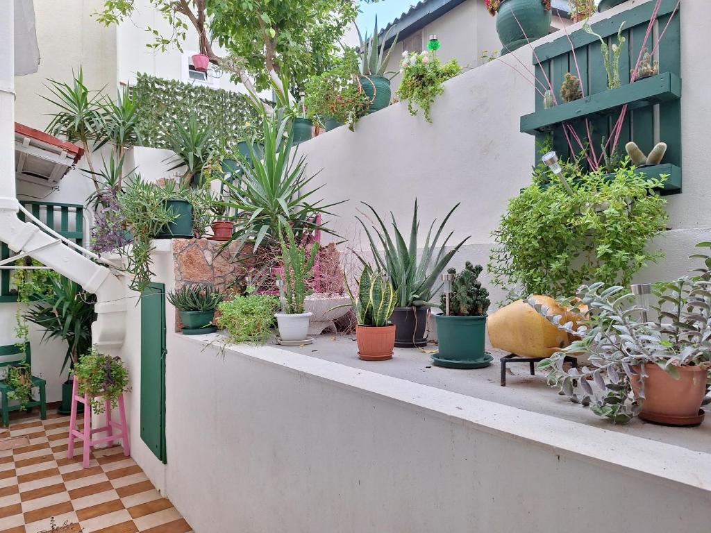 Retro Chic Apartment 전경
