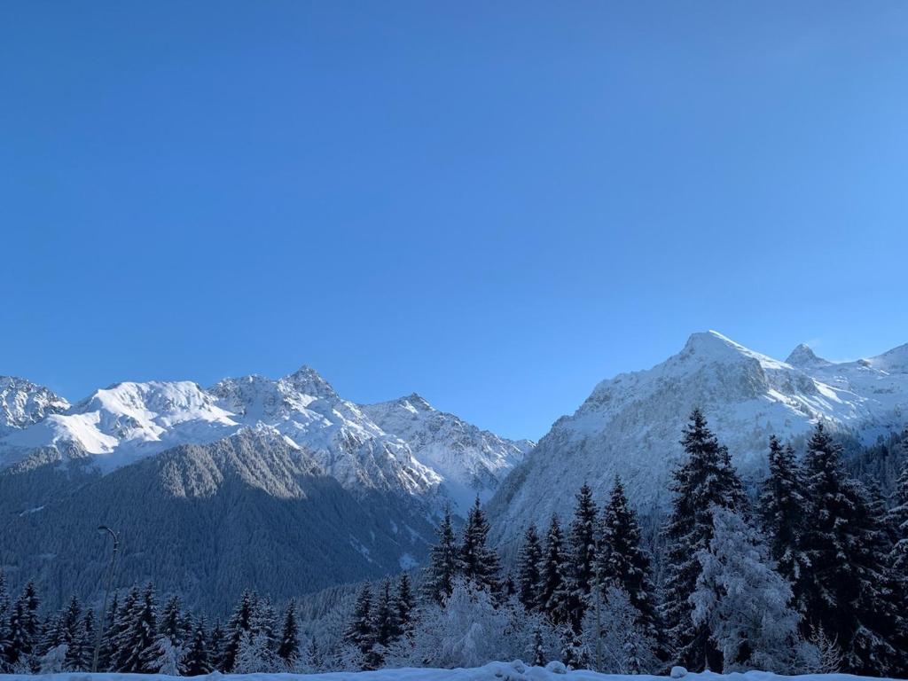 Studio des Ô Glaciers - 7 Laux, Le Haut-Breda