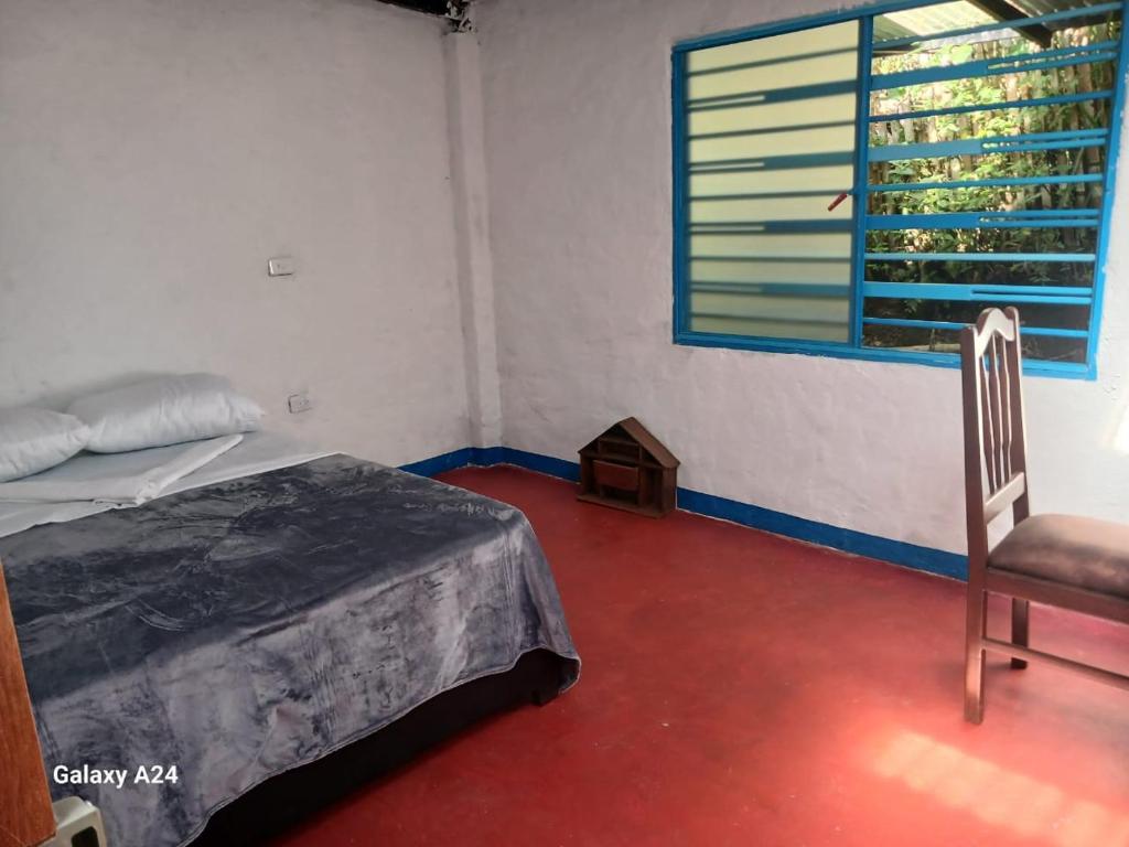 Hospedaje Del Toro - 4