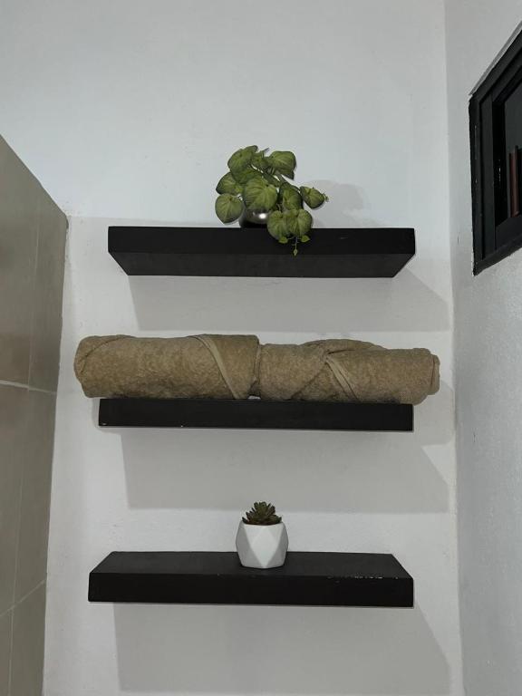 Departamento sisal 2 - 5