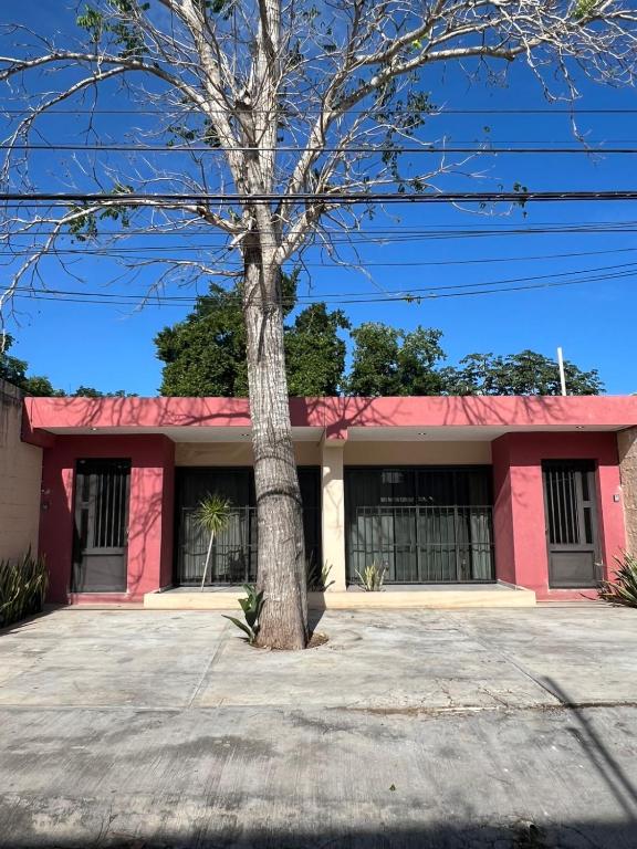 departamento sisal 1 - 1
