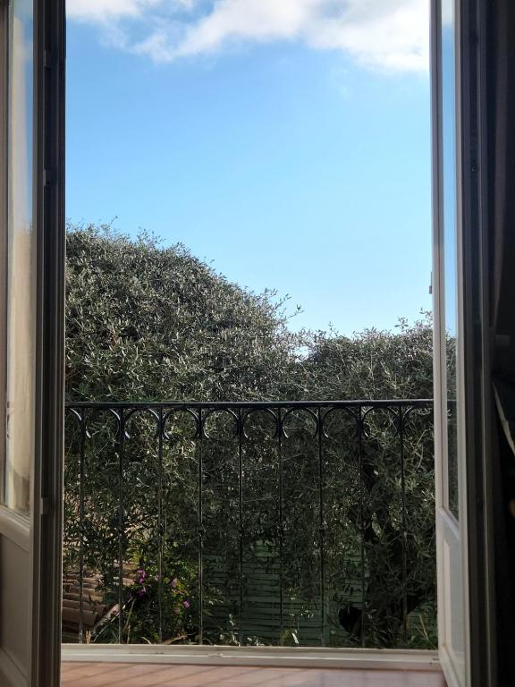 Proche centre ville, GIP ASFO, vue sur le jardin - 3