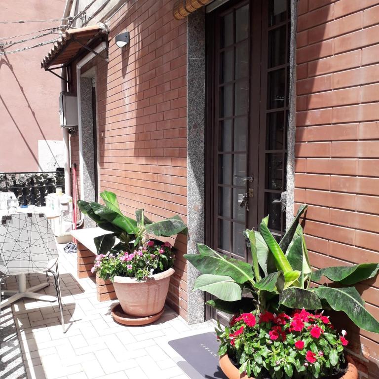 Le case del cortile 2, Katánie