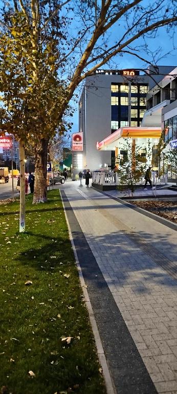 Artima Great Apartment, Kišiněv