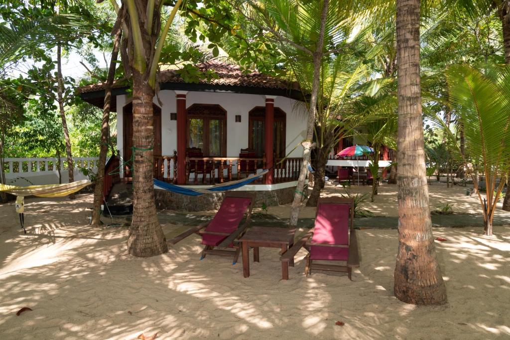 누가 에덴 탕갈레 친절 서비스 후기