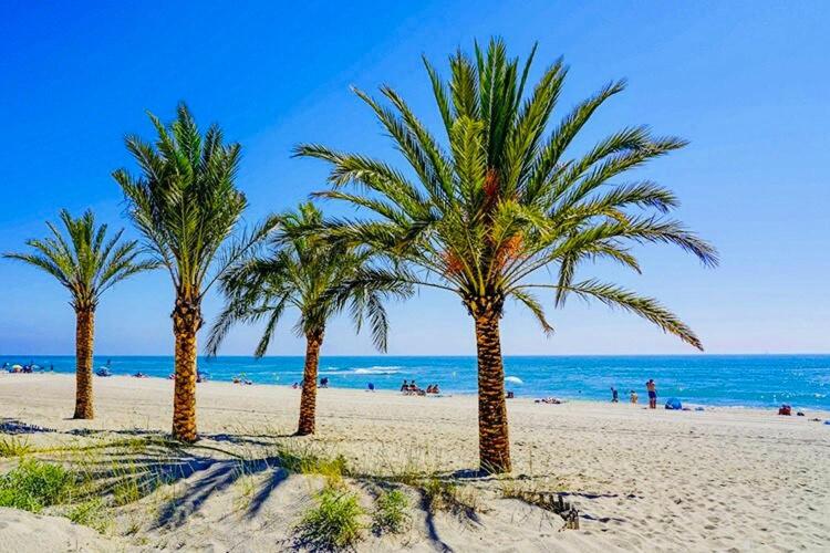 Appartement Le Belvédère Bleu, Le Barcarès