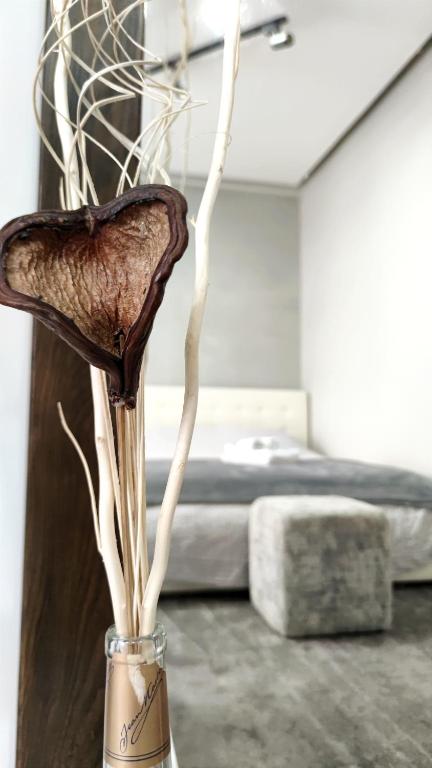 Quiet & Central Specious Apartment - 4