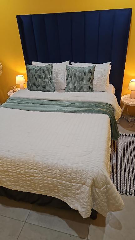 Ladorkita Cozy, Johannesburg