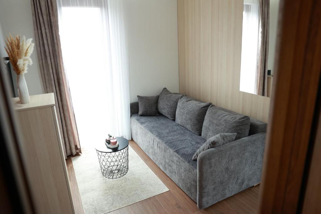 Apartman Borovi 11 Divčibare - 5