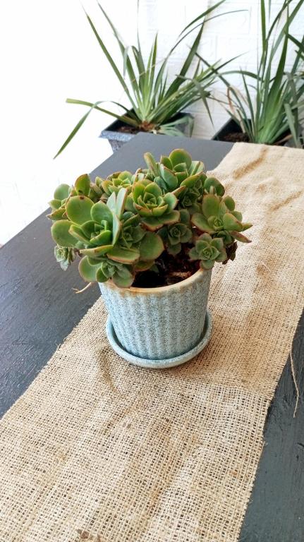 Monoambiente céntrico - 3