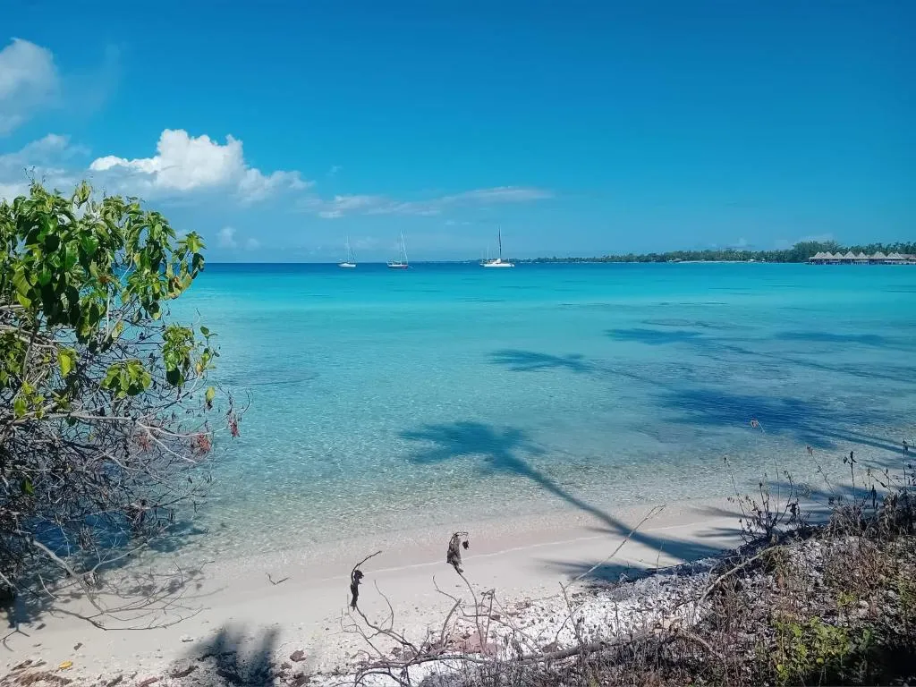 Rangiroa Te Manuia Lodge, hotel di Rangiroa