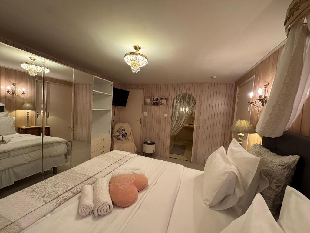 Chambre d'hôte Rose avec petit déjeuner Sauna et Jacuzzi en option - 2