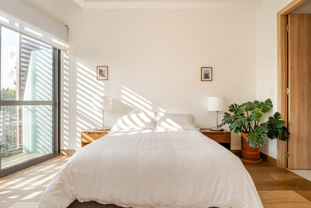 Beautiful studio near to Paseo de la Reforma - 5