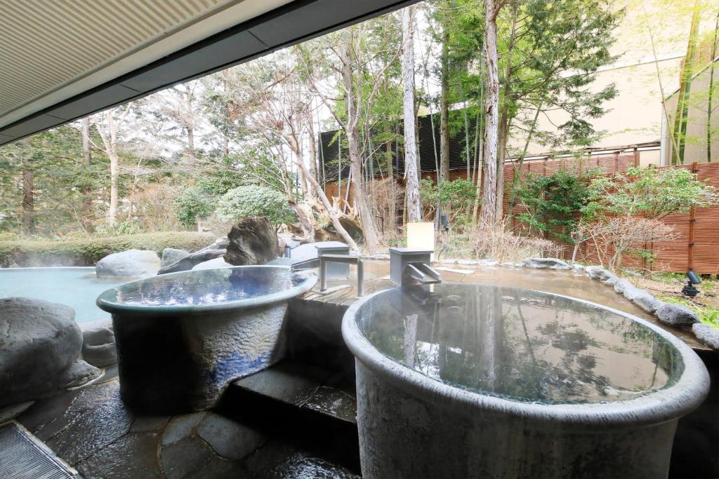 Hot spring bath