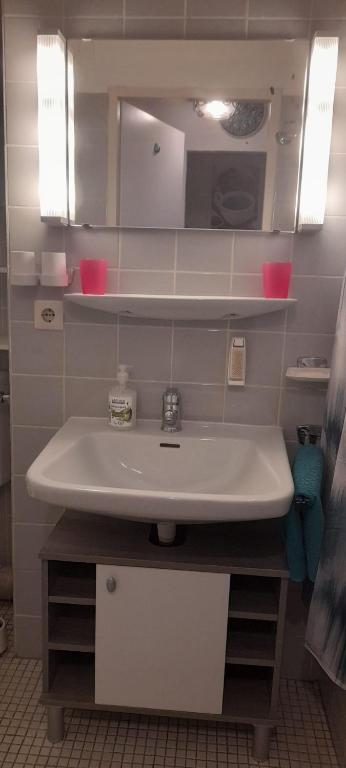 Studio, Bergblick, 2 Betten, 1 Schlafsofa - 3