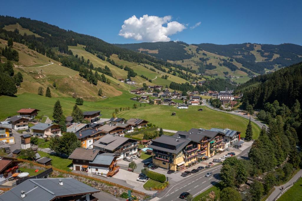 Villa Austria Saalbach - 4