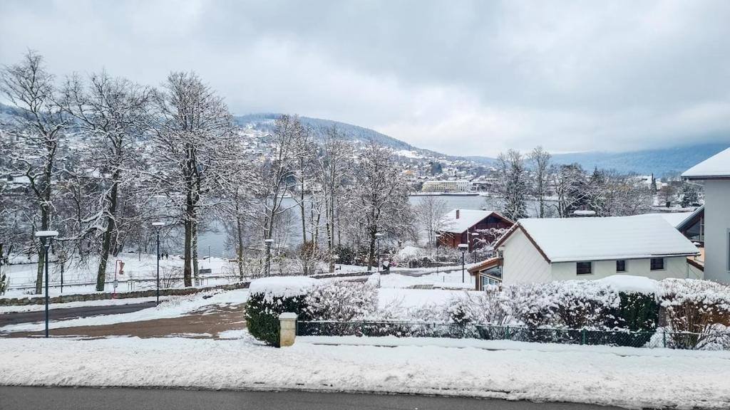 F2* * * 80M DU LAC avec vue+terrasse+proche centre - 1