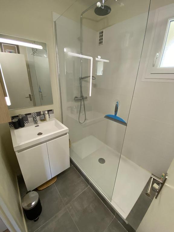 PROCE - Apt lumineux et cosy, vue parc de Procé - 5