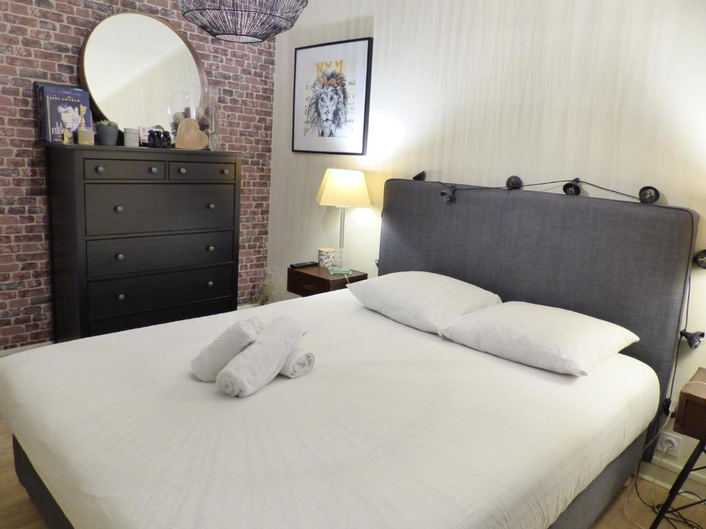PROCE - Apt lumineux et cosy, vue parc de Procé - 4