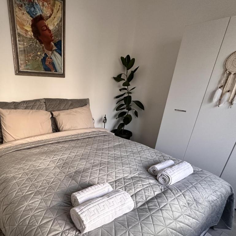 Boheme Studio, Temešvár