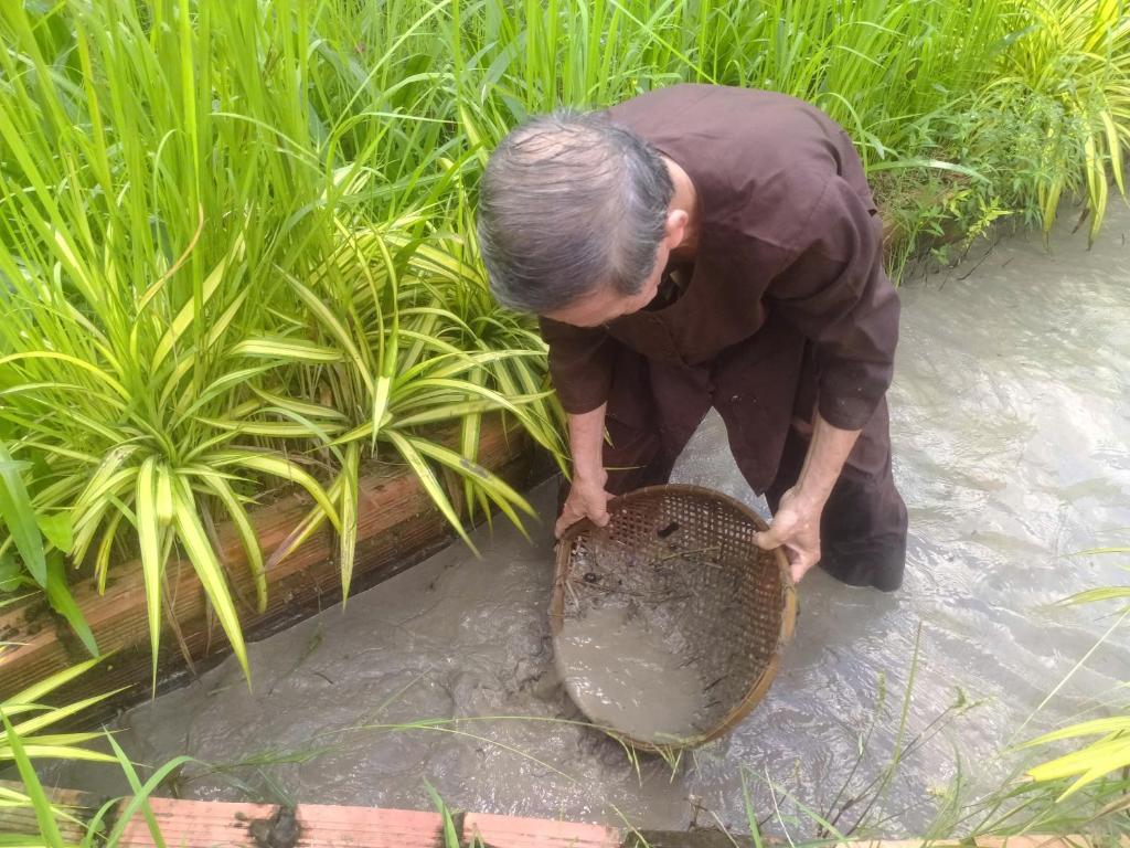 アクティビティ