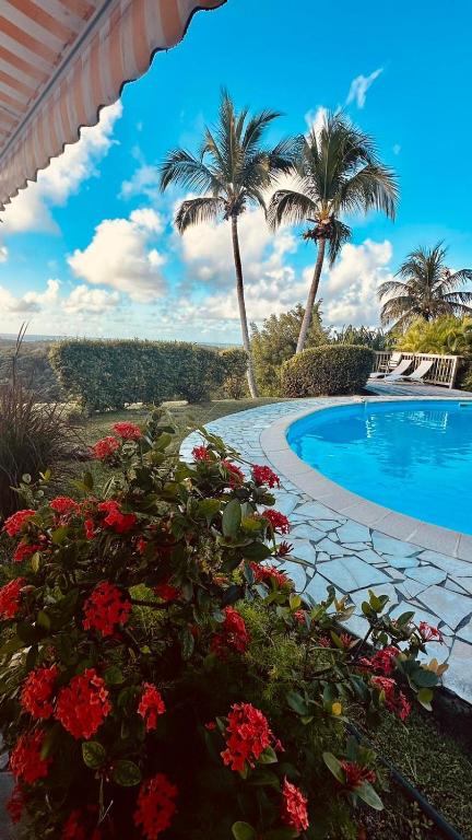 Résidence Belle Vue des îles, Sainte-Anne