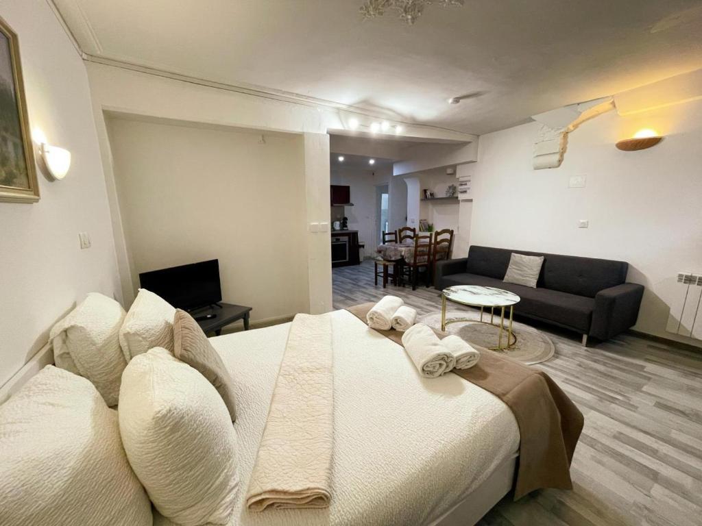 Studio au cœur d'Amboise pour 2 pers, vue sur château - FR-1-381-609 - 1