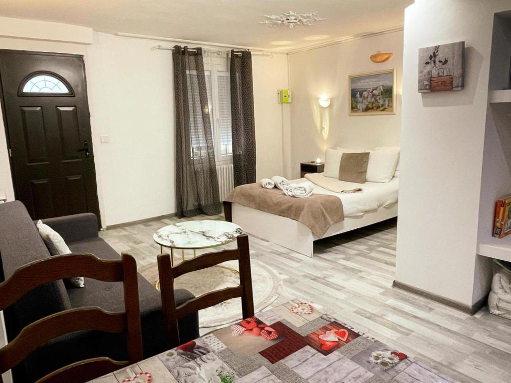 Studio au cœur d'Amboise pour 2 pers, vue sur château - FR-1-381-609 - 5