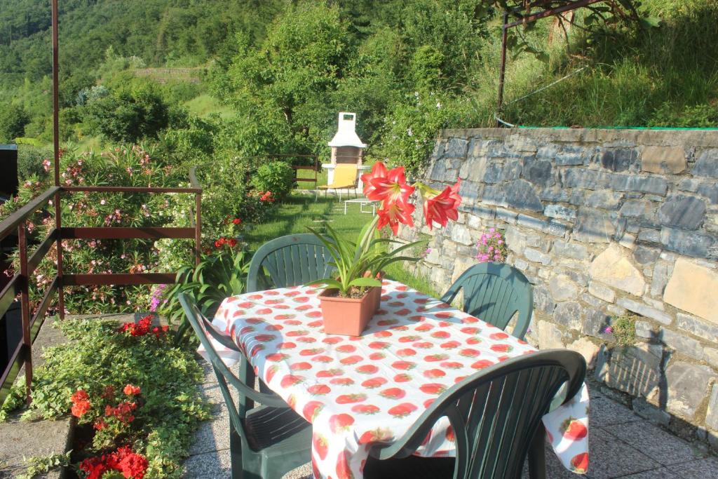 Bellavista garden and flowers photo