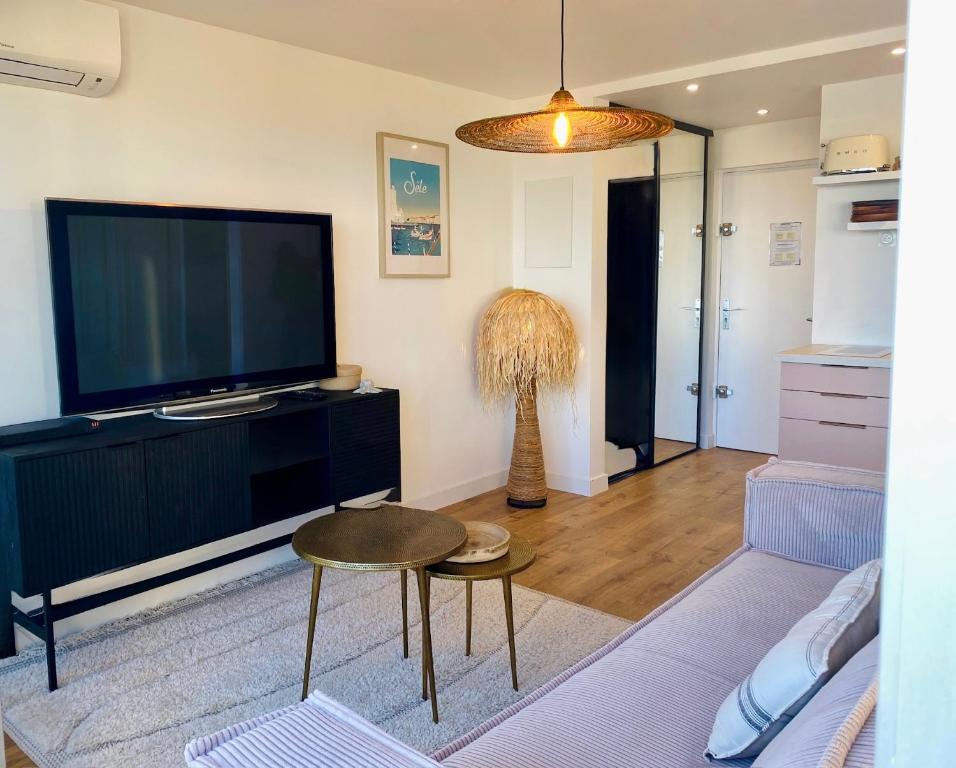 Azur 2 vue sublime clim, parking, terrasse - 5