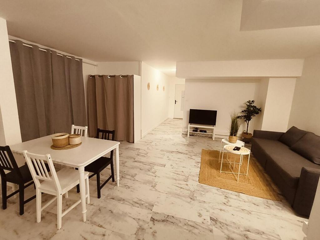 Grand et beau studio de 63 m - 4