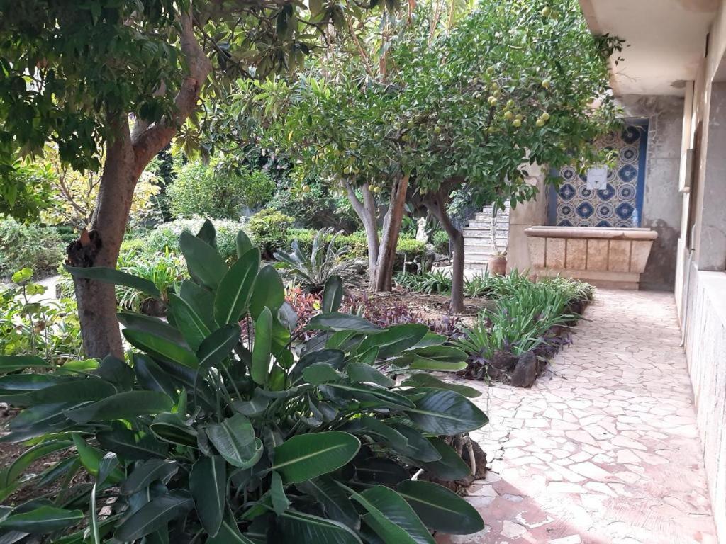 Breakfast in the garden with a sea view, Milazzo
