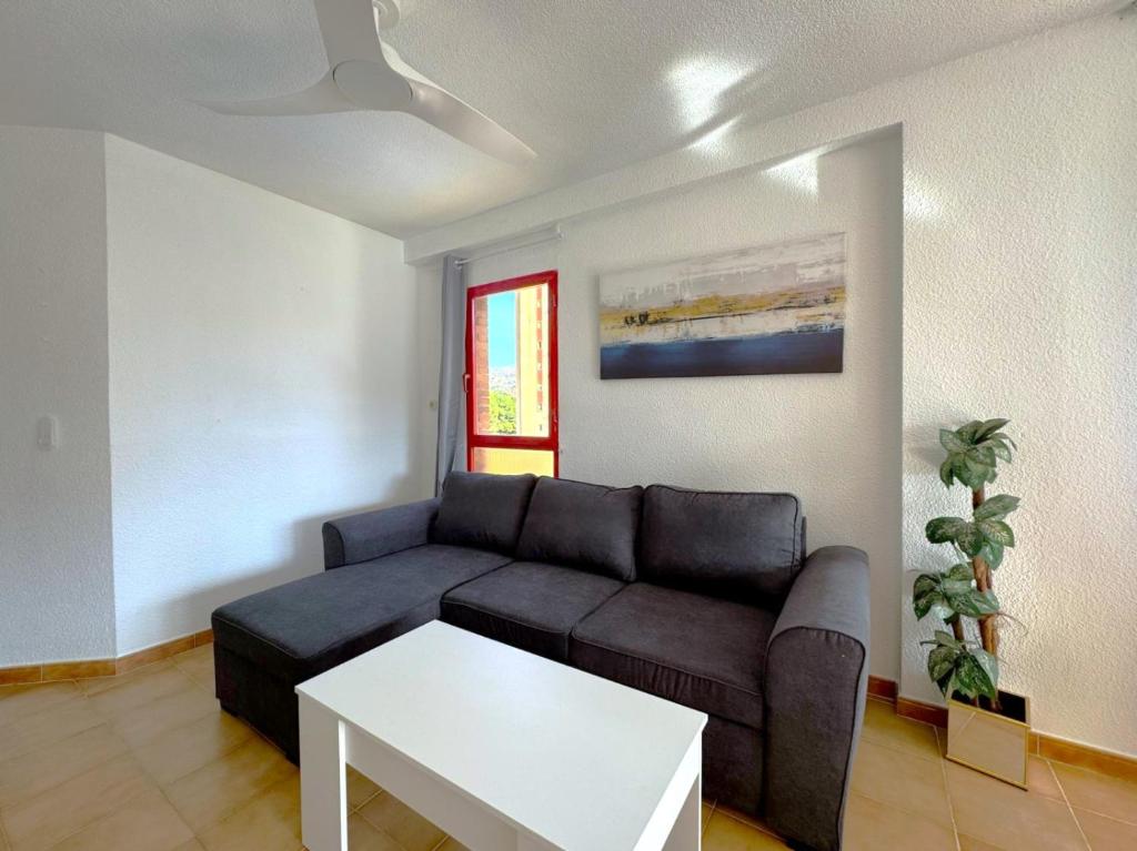 Loixmar 7 One bedroom apartment with extra room on glazed terrace - 3