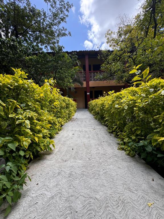 Hotel Quinta Loreto - 4