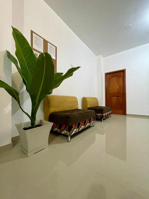 Darwin's Hideaway - 3